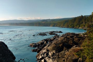 A typical coastal view along the Freewheeling Adventure self-guided inn to inn walking tour on the Salish Shores of Vancouver Island, through impressive old growth forest and along coastal trails.