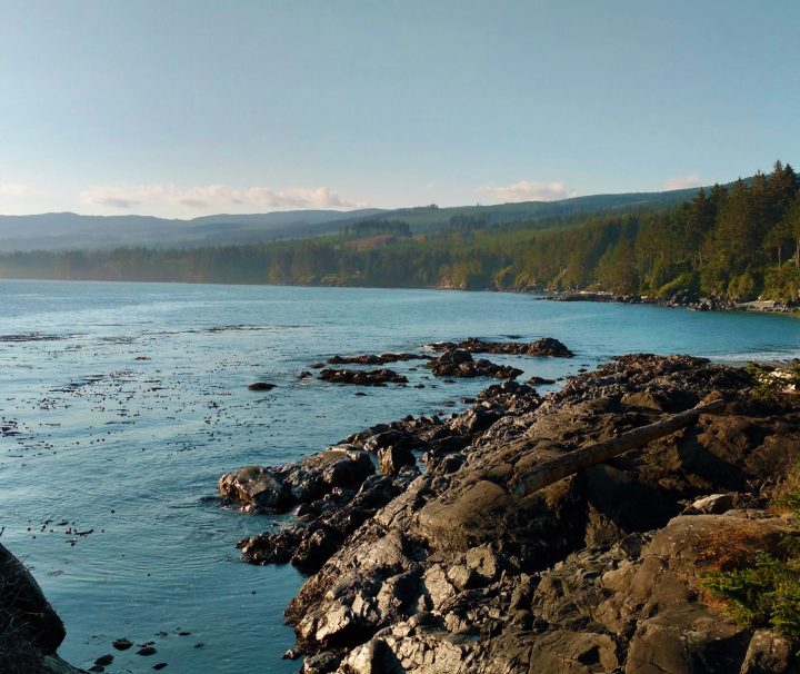 A typical coastal view along the Freewheeling Adventure self-guided inn to inn walking tour on the Salish Shores of Vancouver Island, through impressive old growth forest and along coastal trails.