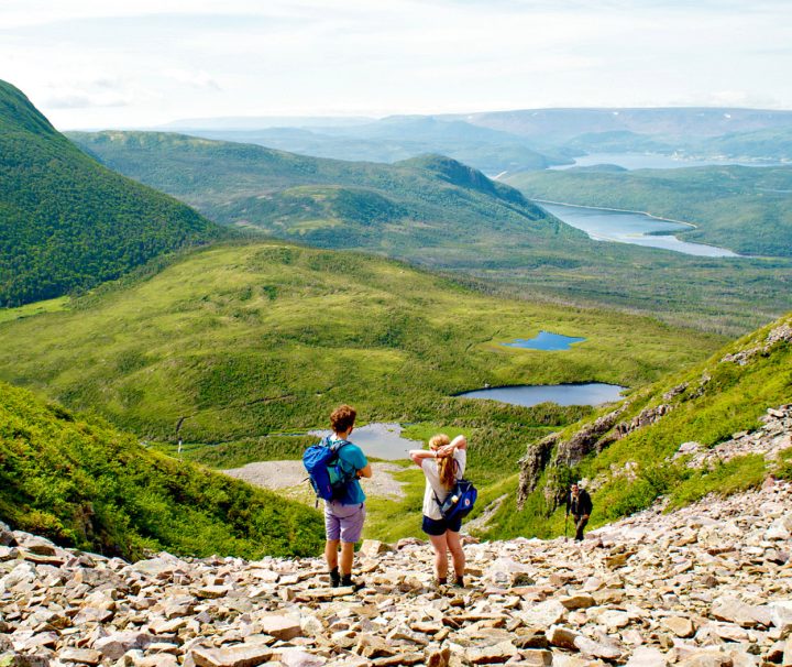 A panoramic view near the top of Gros Morne Mountain during the Freewheeling Adventures Viking hike in Newfoundland.