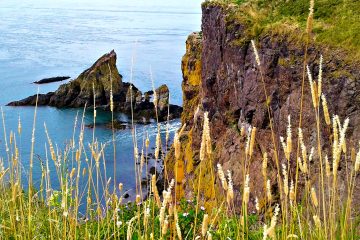 Fundy Hike