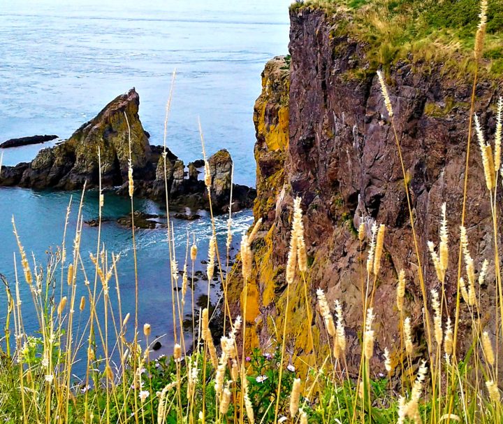 A view of Cape Split from the wilderness trails around the Bay of Fundy with Freewheeling Adventures.