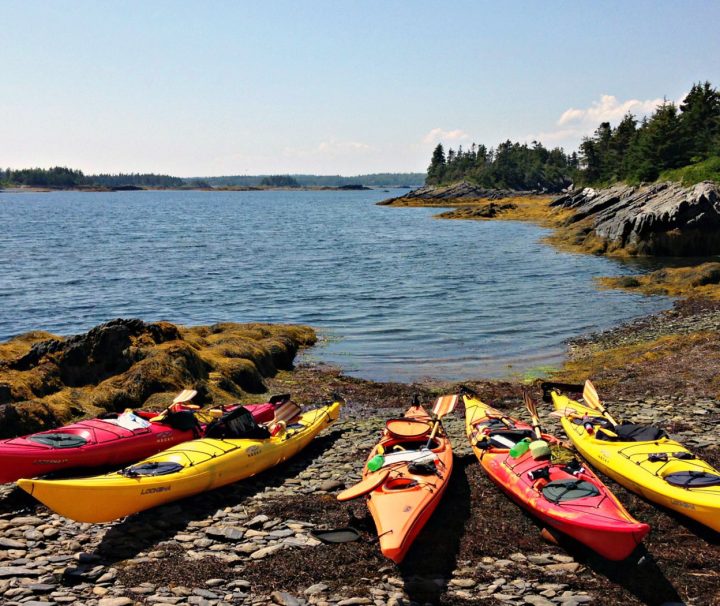 Kayaks ready to be launched for a paddle along wild, pristine coastline, sheltered fishing harbors, and opulent yacht-filled anchorages with Freewheeling Adventures.