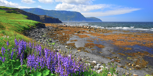 Newfoundland Bike Tours & Hiking Trips
