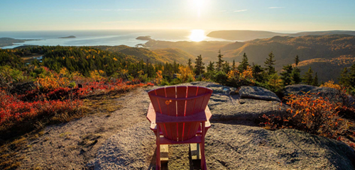 Bike Tours & Walking/Hiking Trips