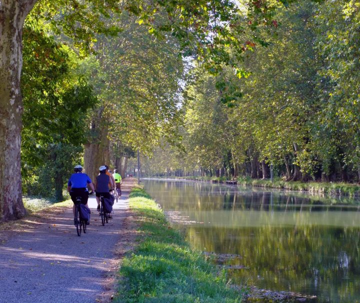 A calm view of the canal with the traffic free bike lanes on either side. The tree canopy provides the perfect shade for an easy ride on the France