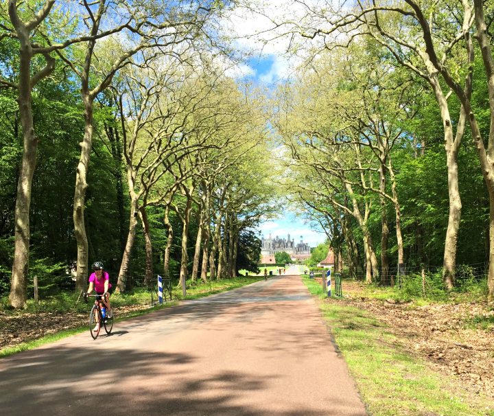 Cycling with Freewheeling Adventures through the area where most of the great Loire chateaux are congregated, stretching over a 100km in the Loire Valley!