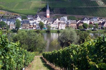 A view of Zell church across the River Moselle, on a cycling tour with Freewheeling Adventures.