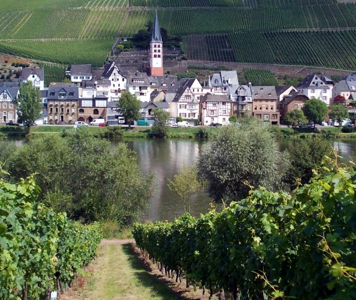 A view of Zell church across the River Moselle, on a cycling tour with Freewheeling Adventures.