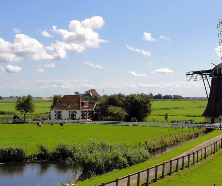 A traditional Dutch windmill is a common sight on a Freewheeling Adventure walking tour in the Netherlands.