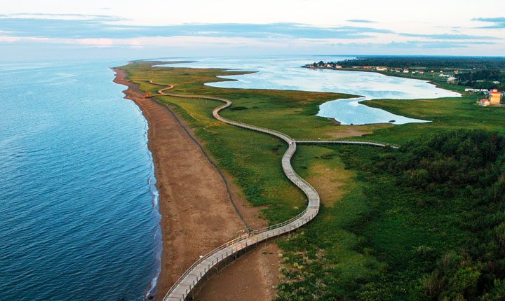 A 2-kilometer winding boardwalk that stretches along a 12-kilometer sand dune located in la Dune de Bouctouche in New Brunswick, Canada. 