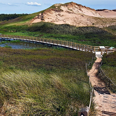 This image shows the Greenwich Dunes Trail, a popular hiking destination within Prince Edward Island National Park