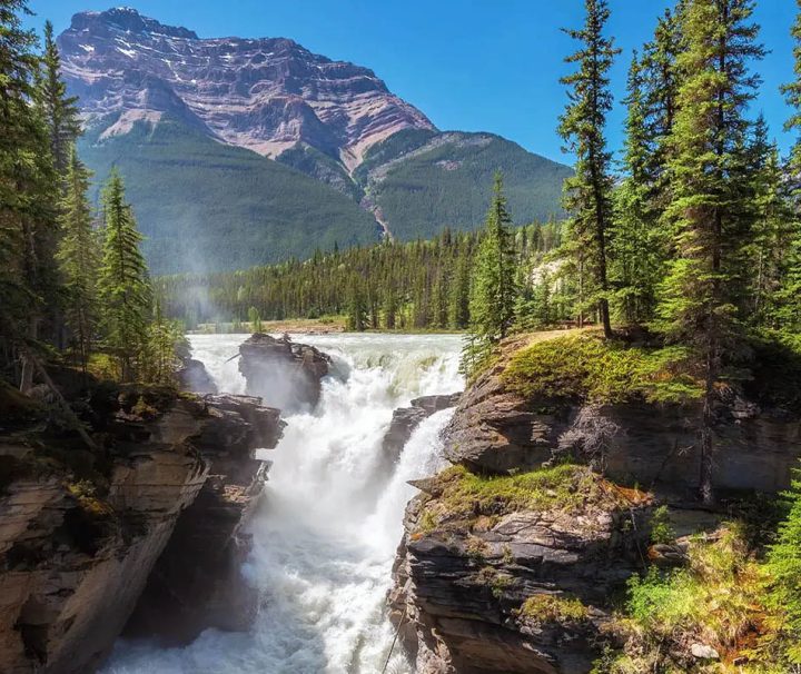 The image displays Athabasca Falls, a powerful waterfall located in Jasper National Park, Alberta, Canada