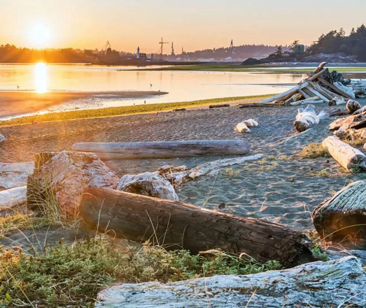 This image captures a sunset over a sandy beach populated with large driftwood logs, located on the coast of British Columbia, Canada