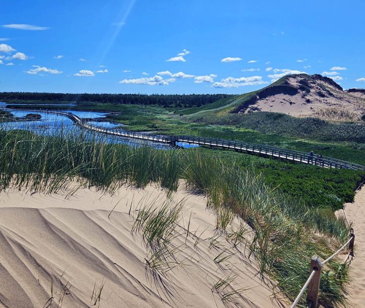 This image shows the Greenwich Dunes Trail, a popular hiking destination within Prince Edward Island National Park