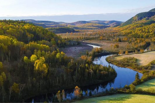 This image depicts a scenic river meandering through a forested valley during autumn