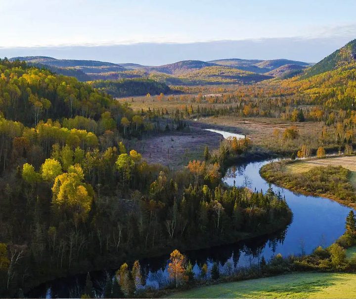This image depicts a scenic river meandering through a forested valley during autumn