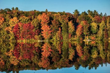 This image captures the vibrant peak fall foliage in the Laurentian Mountains of Quebec, Canada